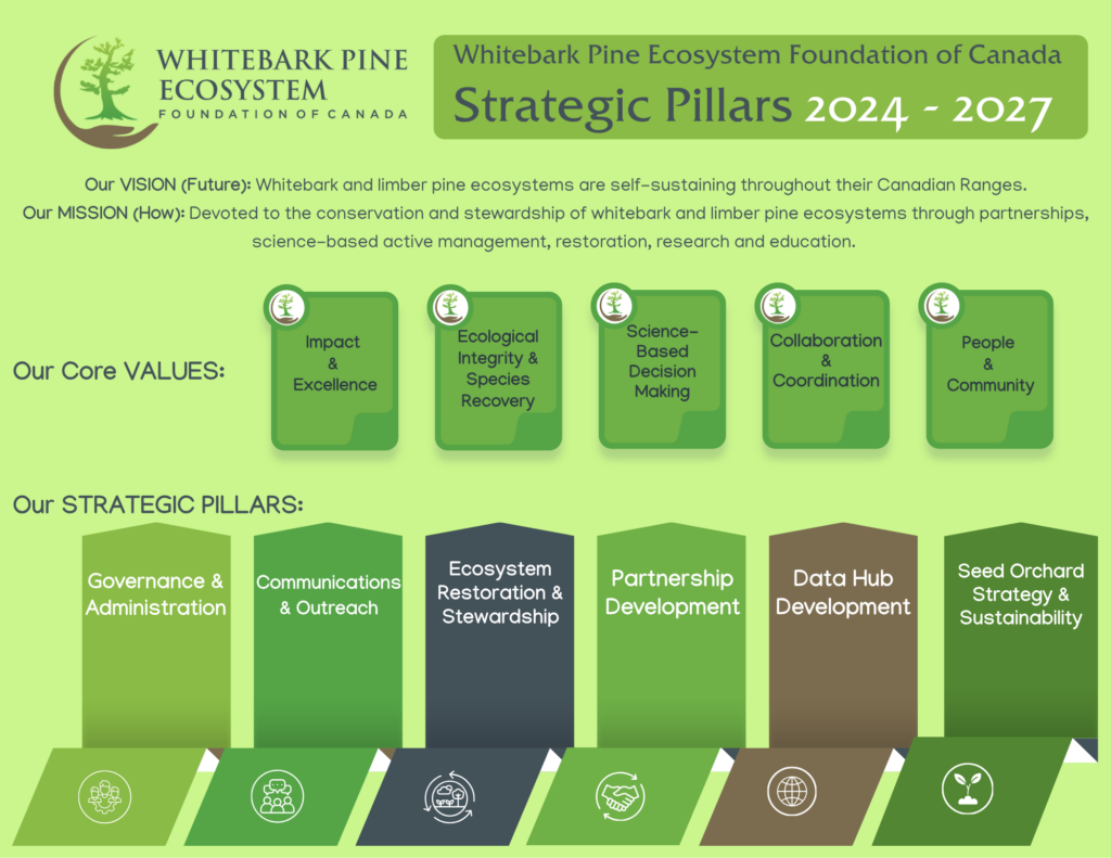 Image of Wpefc 2026 Strategic Pillars